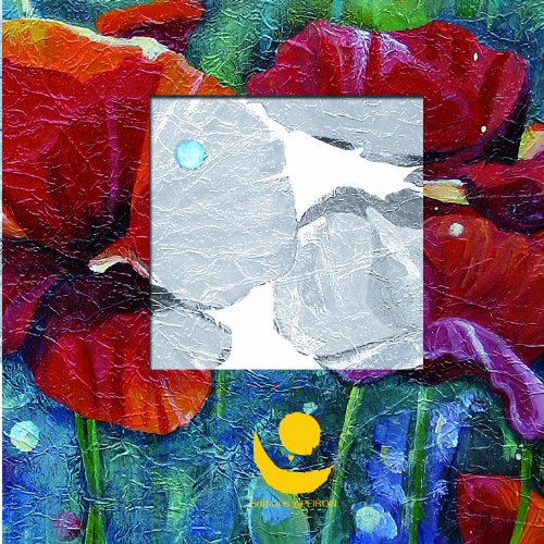 Graines & Fleurs