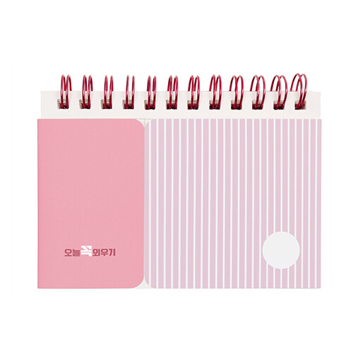 오늘 꼭 외우기 단어장 (핑크)