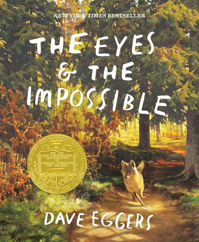 The Eyes & The Impossible