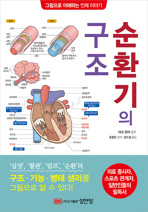 순환기의 구조 : 그림으로 이해하는 인체 이야기