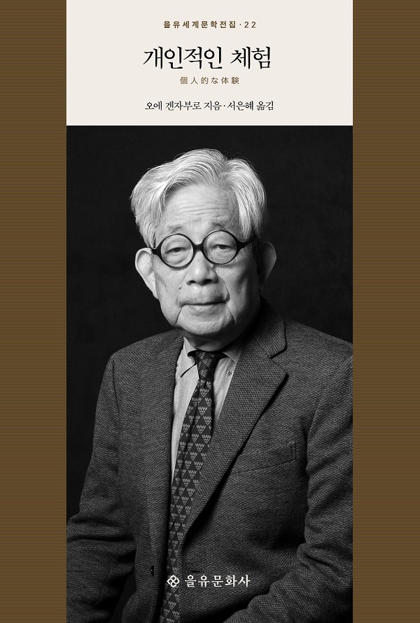 개인적인 체험 - 을유세계문학전집 22 (양장)