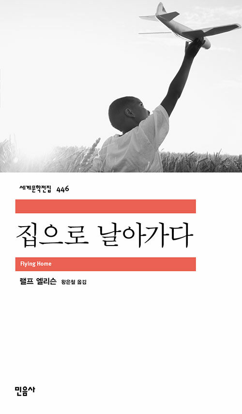 집으로 날아가다 - 세계문학전집 446