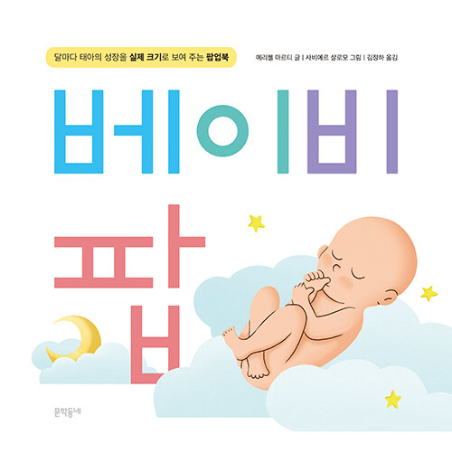 베이비 팝 : 달마다 태아의 성장을 실제 크기로 보여 주는 팝업북