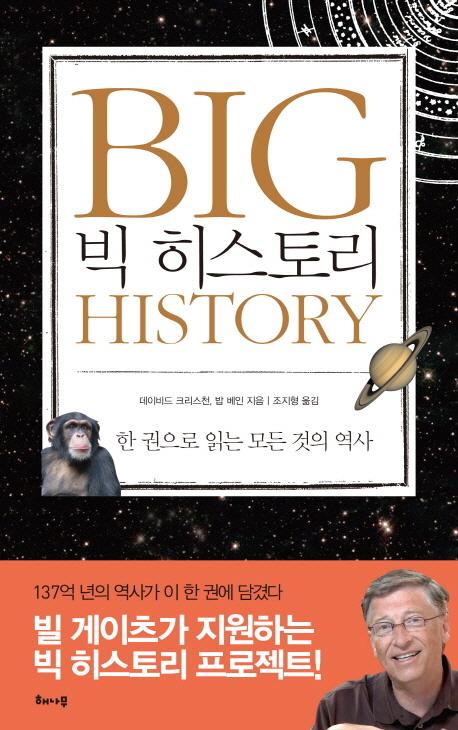 빅 히스토리 BIG HISTORY : 한 권으로 읽는 모든 것의 역사