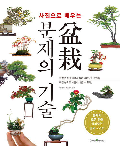 사진으로 배우는 분재의 기술