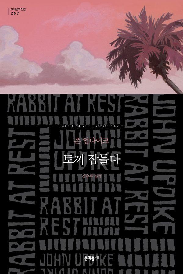 토끼 잠들다 - 문학동네 세계문학전집 267