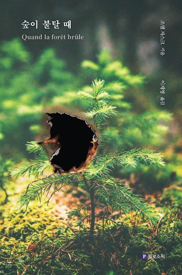 숲이 불탈 때 - 인간을 향한 자연의 마지막 경고, 초대형 산불이 울리다