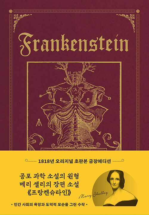 프랑켄슈타인 : 1818년 오리지널 초판본 금장 에디션 - 더스토리 초판본 시리즈 (양장)