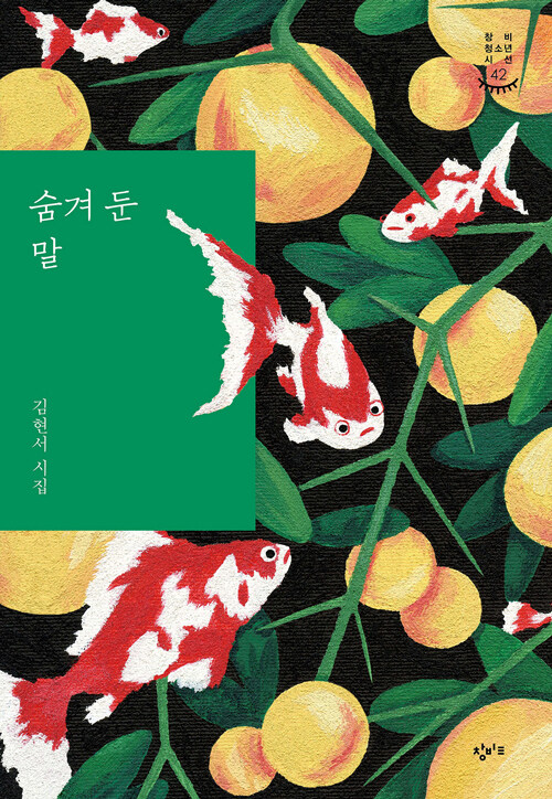 숨겨 둔 말 - 창비청소년시선 42