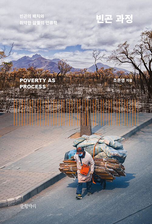 빈곤 과정 (양장)