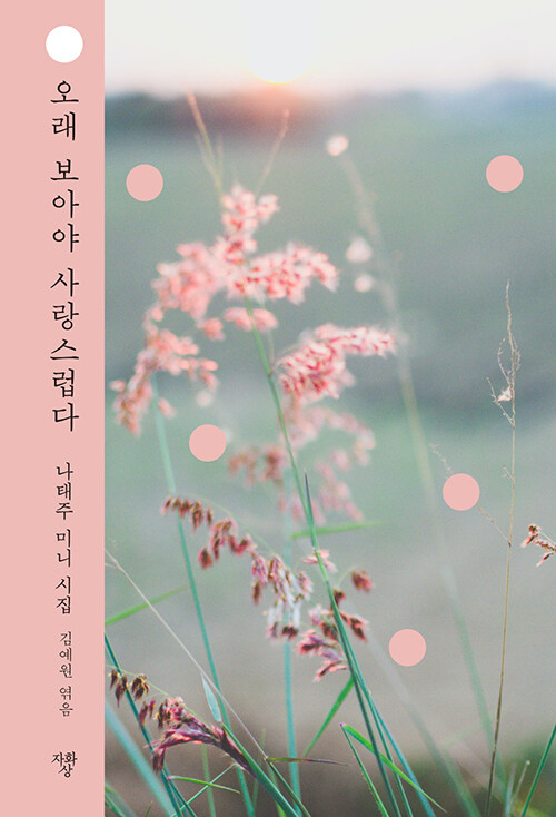 오래 보아야 사랑스럽다 - 나태주 미니 시집