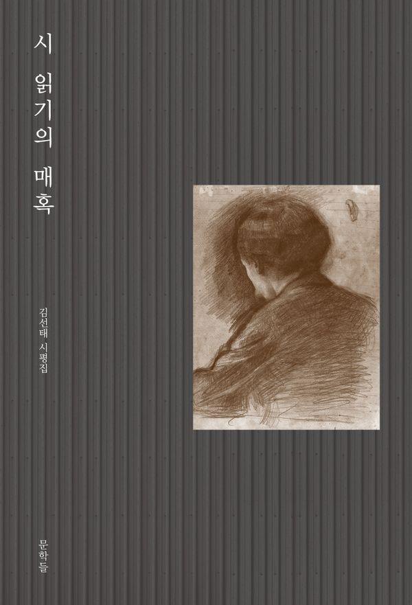 시 읽기의 매혹 : 김선태 시평집
