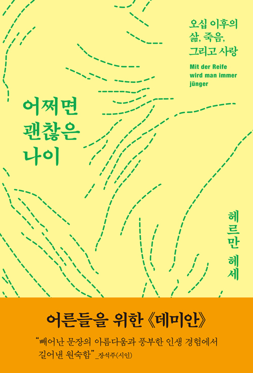 어쩌면 괜찮은 나이 : 어른들을 위한 『데미안』