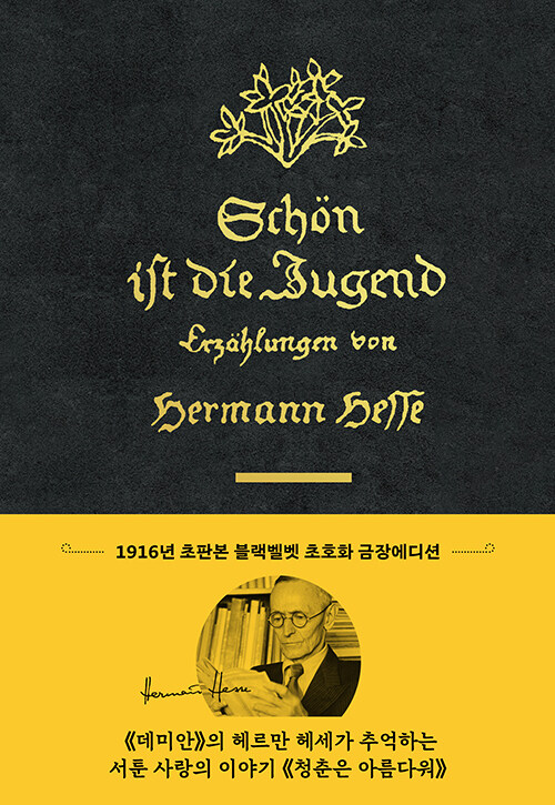 청춘은 아름다워 : 1916년 초판본 블랙벨벳 금장 에디션 - 더스토리 초판본 시리즈 (양장)