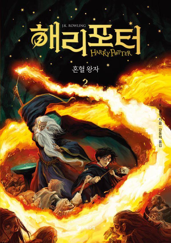 해리 포터와 혼혈왕자 2 (양장)