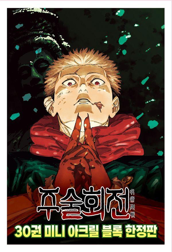 주술회전 30 (한정판)