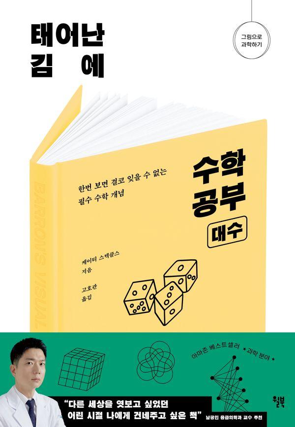 태어난 김에 수학 공부 : 대수, 한번 보면 결코 잊을 수 없는 필수 수학 개념