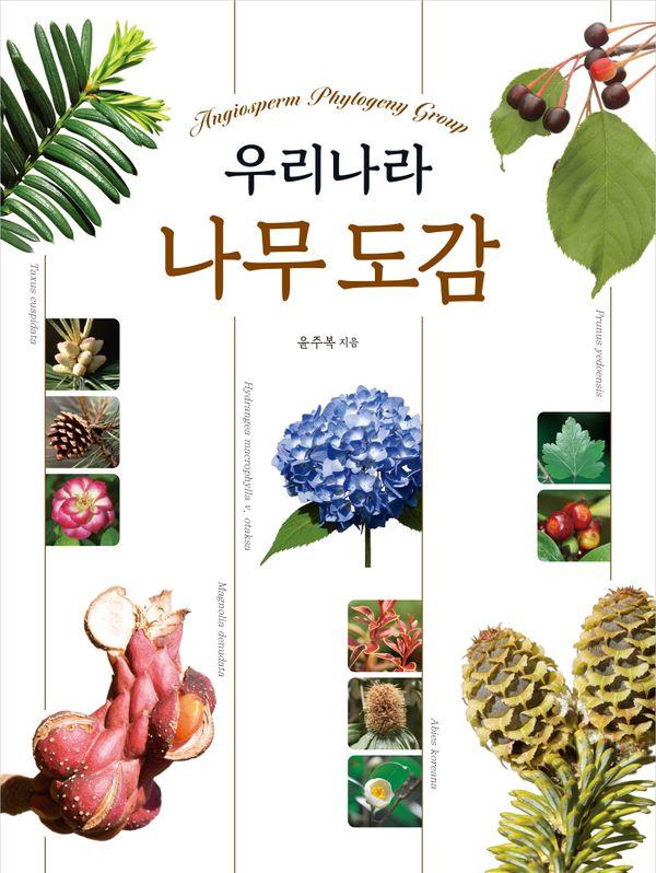 우리나라 나무 도감 (전면개정판)