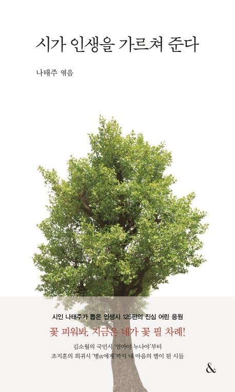 시가 인생을 가르쳐 준다 (양장)