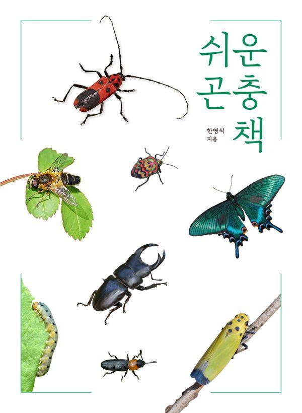 쉬운 곤충책 : 가장 쉬운 곤충 안내서 (최신 개정판)