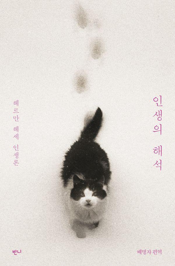 인생의 해석 : 헤르만 헤세 인생론 (개정판)