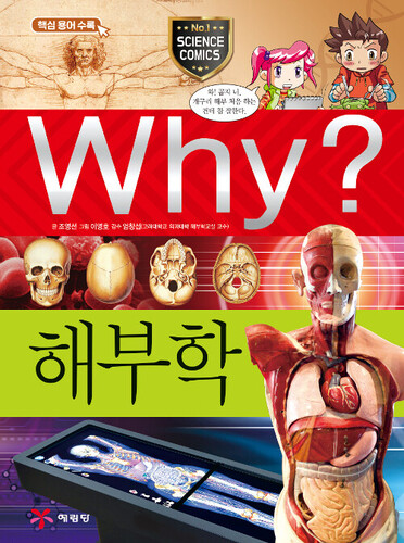 Why? 해부학