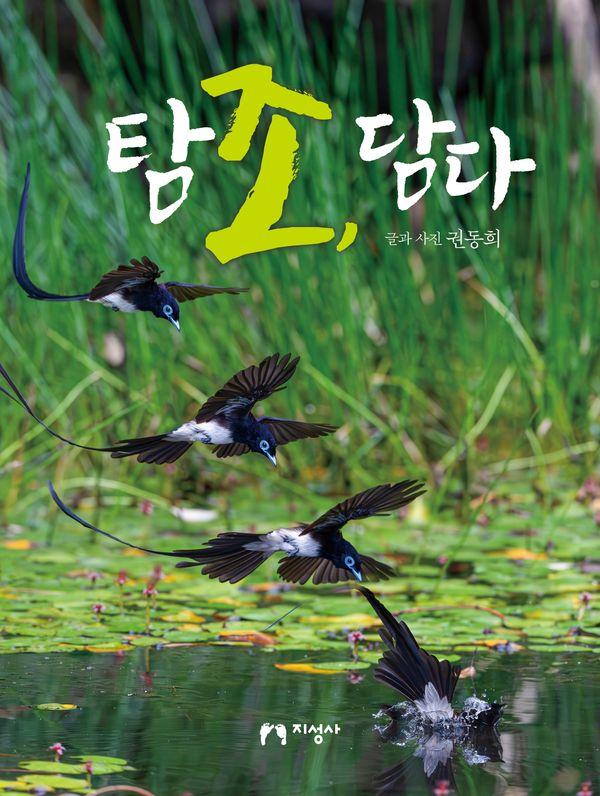 탐조, 담다 (양장)
