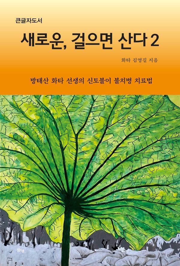 [큰글자도서] 새로운, 걸으면 산다 2 : 방태산 화타 선생의 신토불이 불치병 치료법