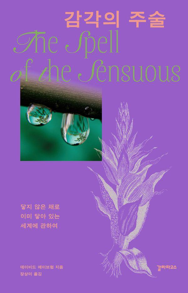 감각의 주술 : 닿지 않은 채로 이미 닿아 있는 세계에 관하여