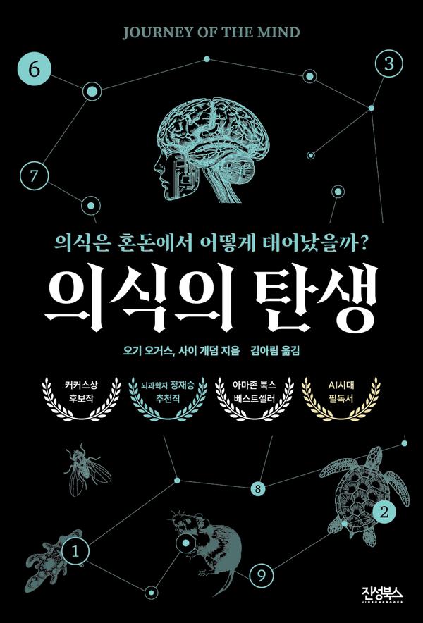 의식의 탄생 : 의식은 혼돈에서 어떻게 태어날까?
