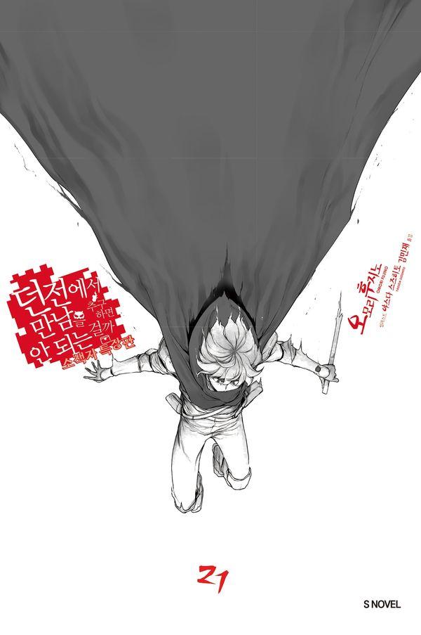 던전에서 만남을 추구하면 안 되는 걸까 21 소책자 특장판 - S Novel