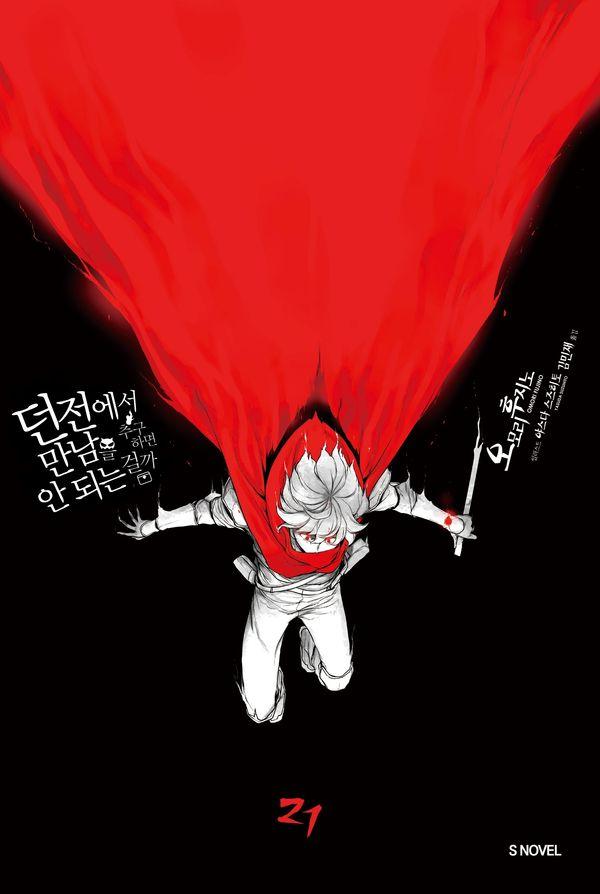 던전에서 만남을 추구하면 안 되는 걸까 21 - S Novel