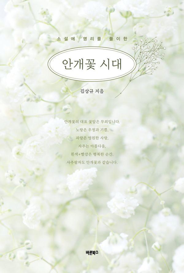 안개꽃 시대 : 소설에 명리를 풀이한