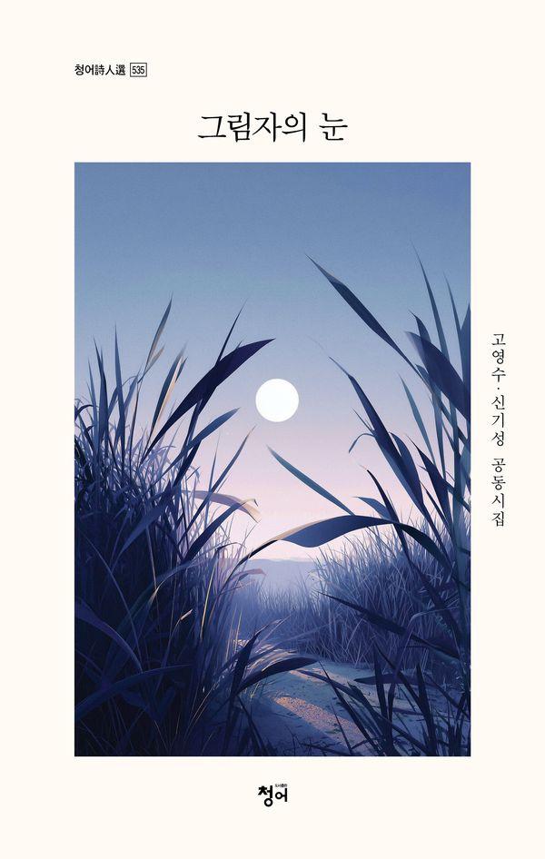그림자의 눈 - 청어시인선 535