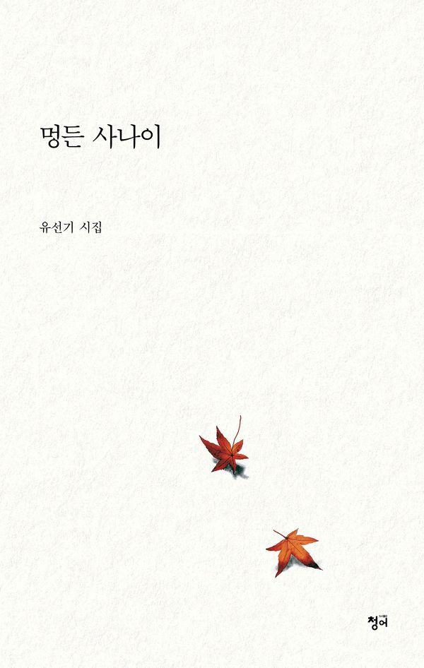 멍든 사나이