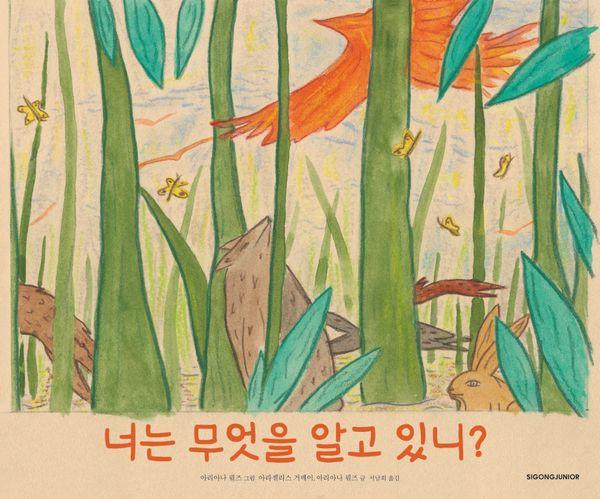 너는 무엇을 알고 있니? - 네버랜드 Picture Books 세계의 걸작 그림책 306 (양장)