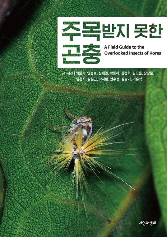 주목받지 못한 곤충 - 한국 생물 목록 40