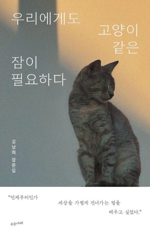 우리에게도 고양이 같은 잠이 필요하다 : 김남희 잡문