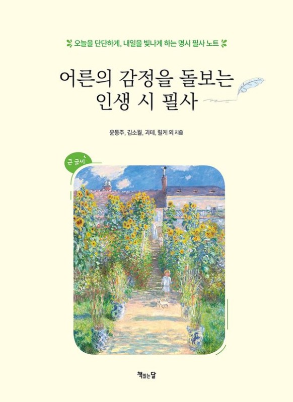 어른의 감정을 돌보는 인생 시 필사: 오늘을 단단하게, 내일을 빛나게 하는 명시 필사 노트