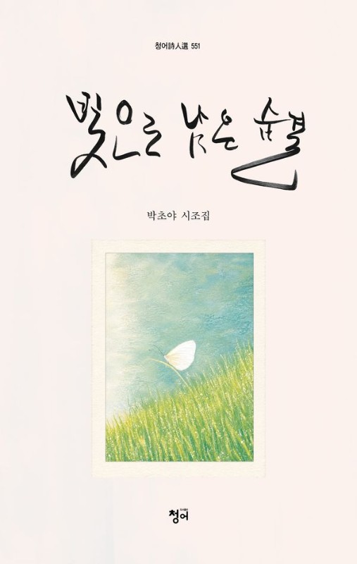 빛으로 남은 숨결- 청어시인선 551