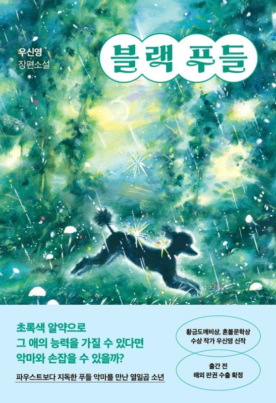 블랙 푸들- 래빗홀 YA