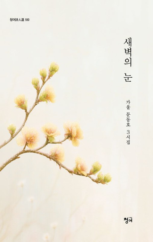 새벽의 눈- 청어시인선 550