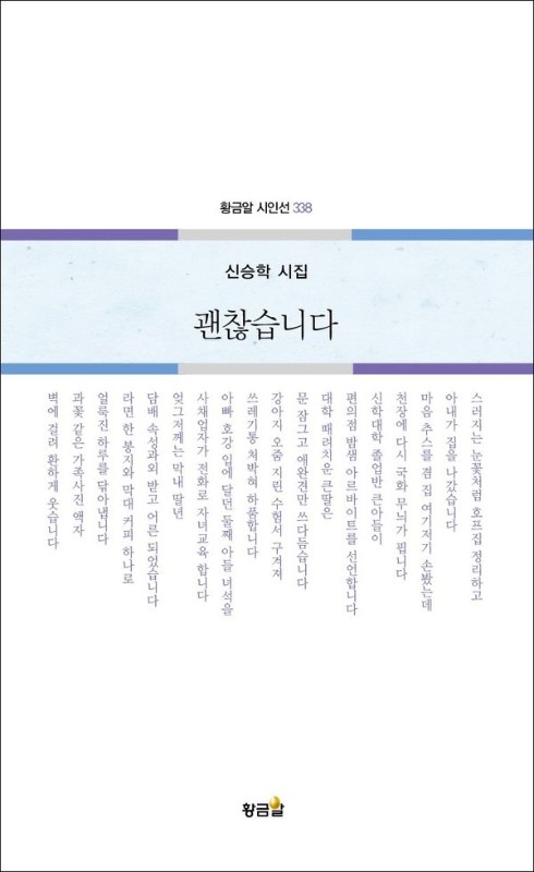 괜찮습니다- 황금알 시인선 338