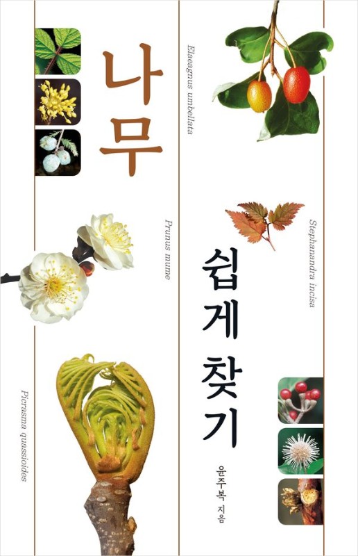나무 쉽게 찾기: 나무를 쉽게 찾고 공부하는 도감 - 자연 쉽게 찾기 시리즈 (양장)