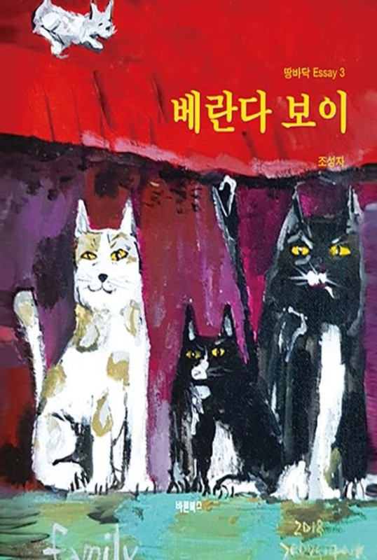 베란다 보이 (개정판)- 땅바닥 Essay 3