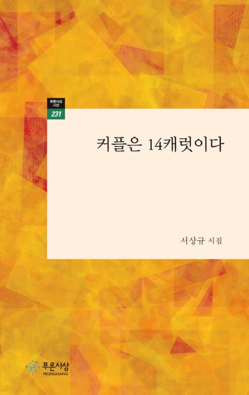 커플은 14캐럿이다- 푸른사상 시선 231