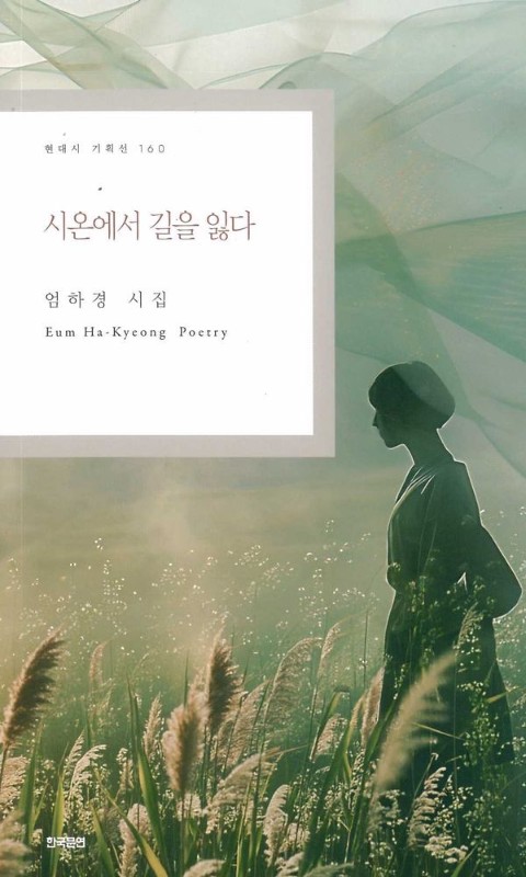 시온에서 길을 잃다- 현대시 기획선 160