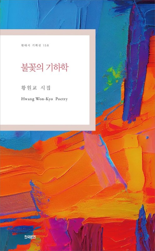 불꽃의 기하학- 현대시 기획선 158