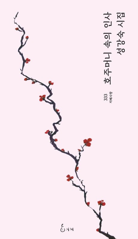 호주머니 속의 인사- 지혜사랑시인선 333