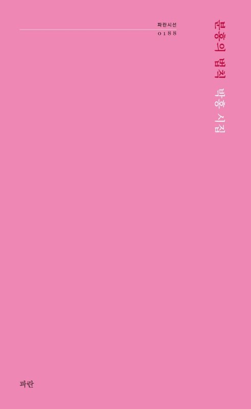 분홍의 법칙- 파란시선 188